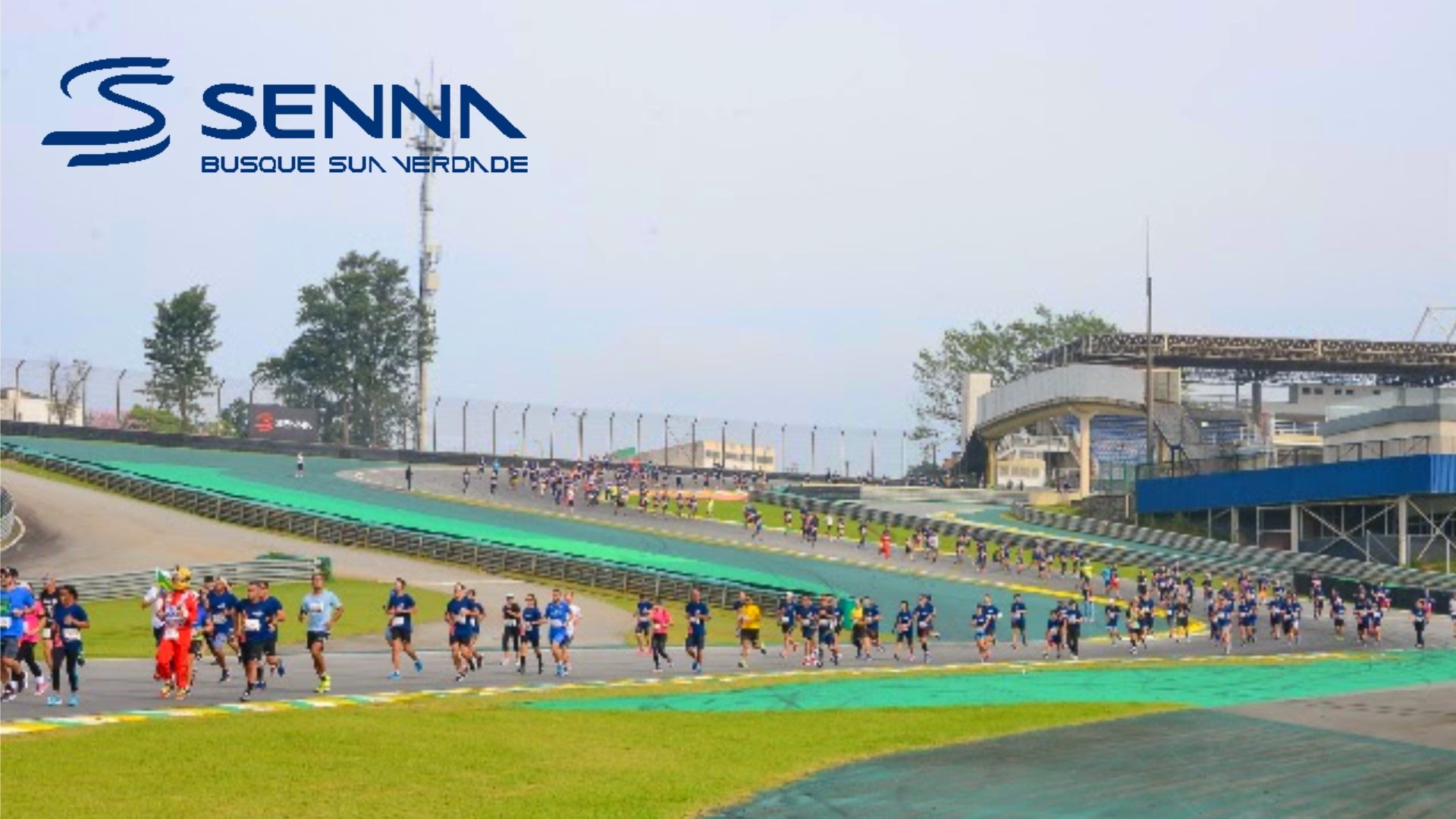 Ayrton Senna Racing Day celebra 30 anos do legado do piloto