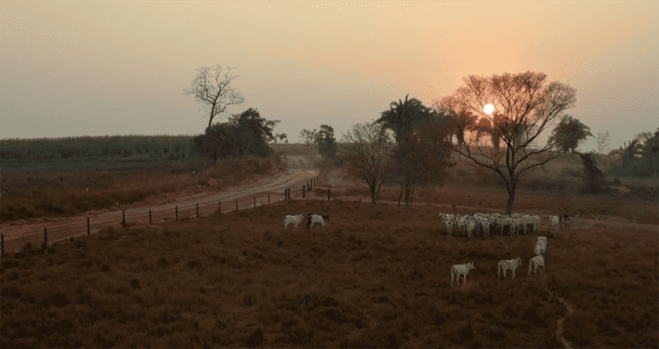 Jeep apresenta série mostrando como marca se inspira pela natureza brasileira