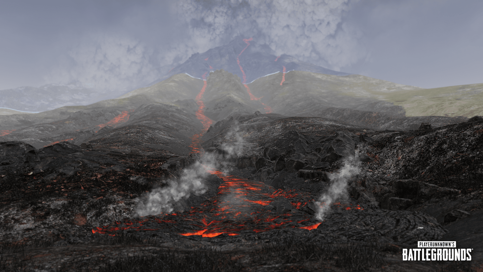 a59a8888-9359-784a-9490-d873f9f21d0c.png
