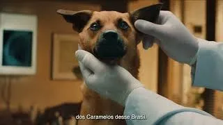 AlmapBBDO é eleita Agência do Ano no Effie Latam 2025