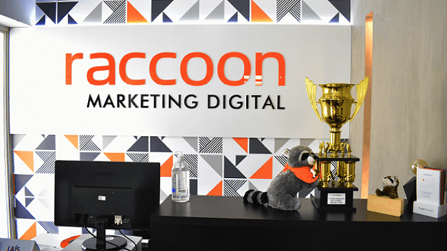 grupo-raccoon-banner-1.png