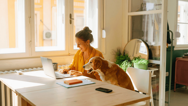 5 lições para um home office saudável e produtivo