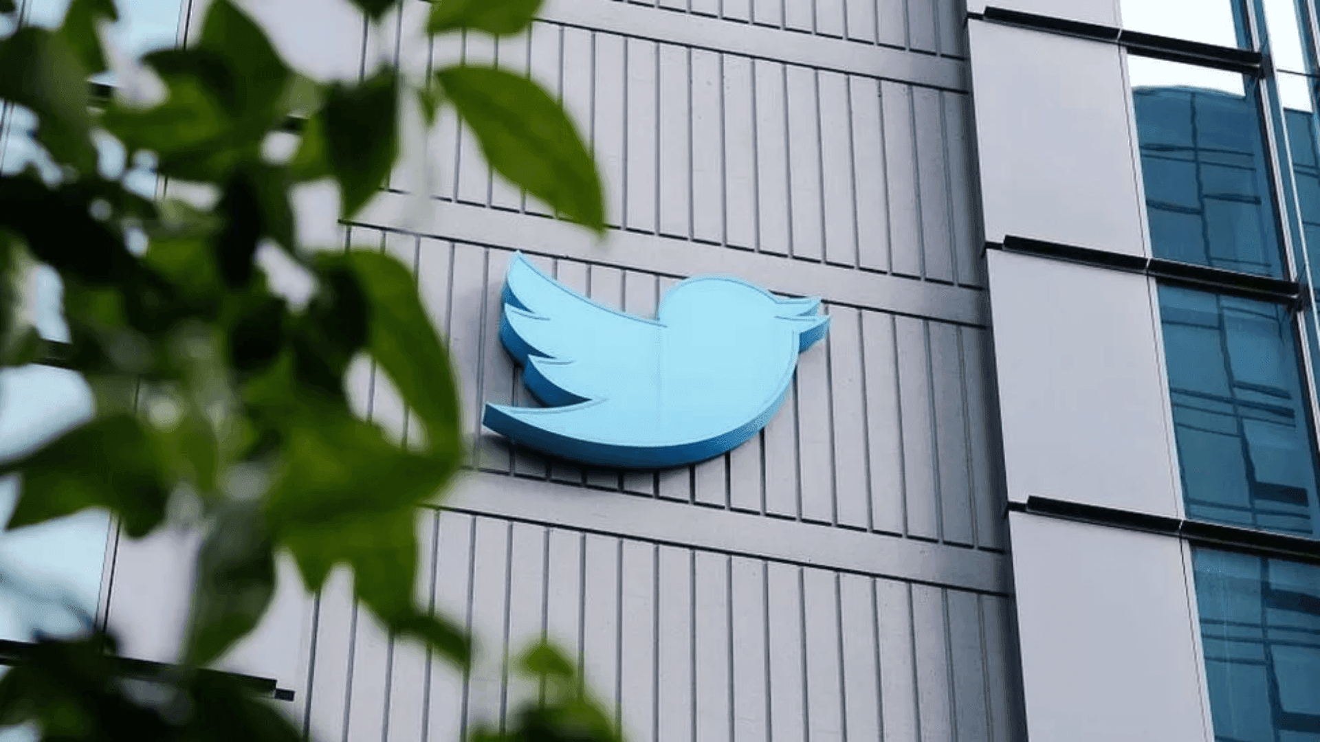 Após rebranding, Elon Musk anuncia leilão de itens relacionados ao Twitter