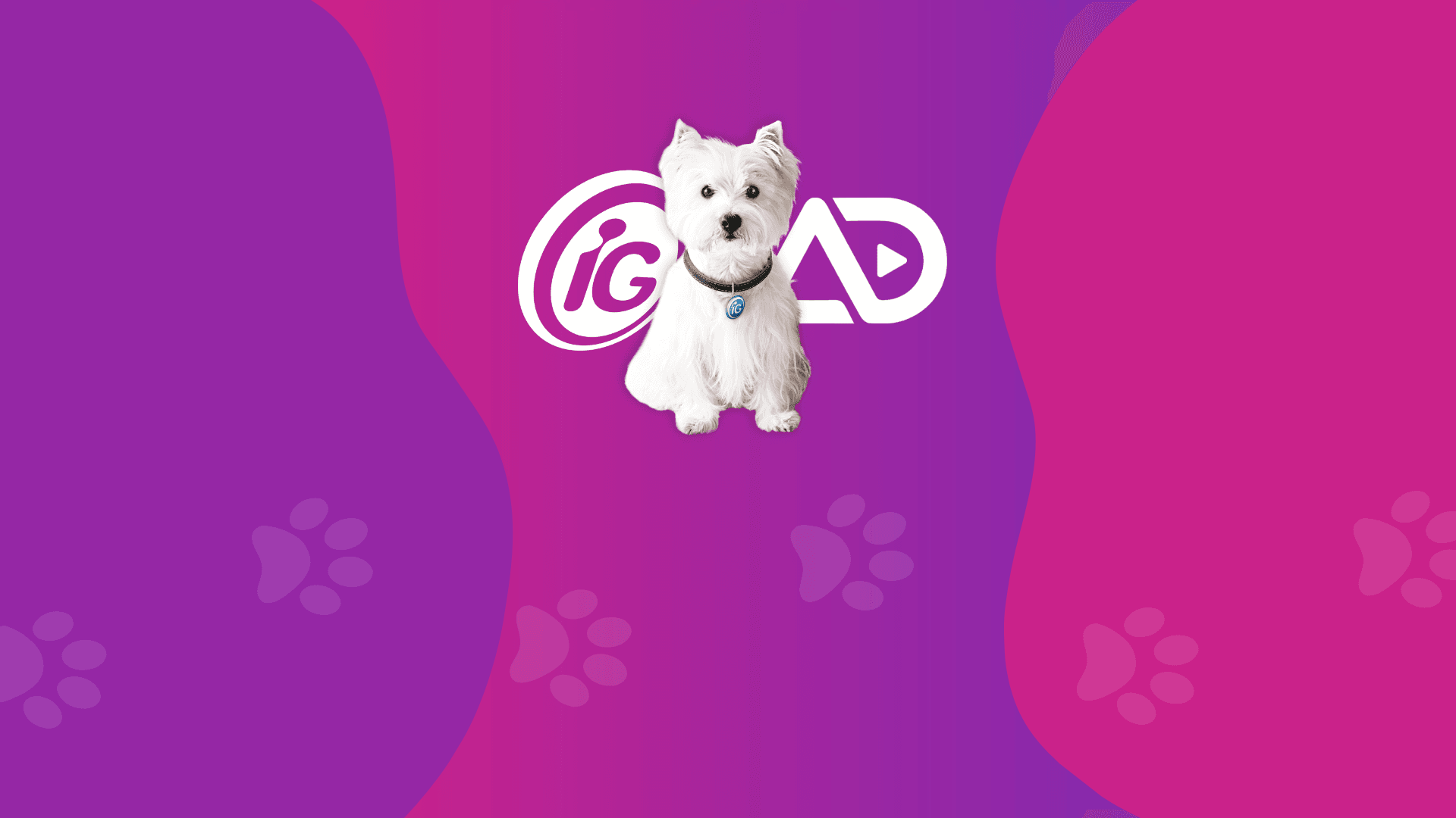 Adnews e iG se unem para oferecer uma experiência revolucionária no universo digital