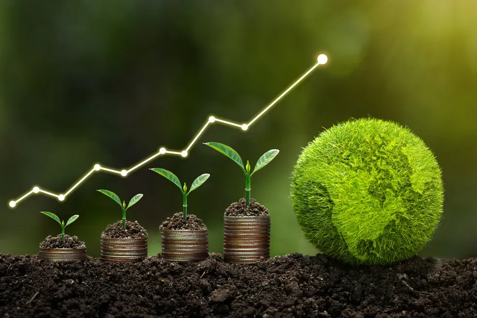 Empresas brasileiras ampliam investimentos em sustentabilidade e descarbonização, aponta Amcham Brasil