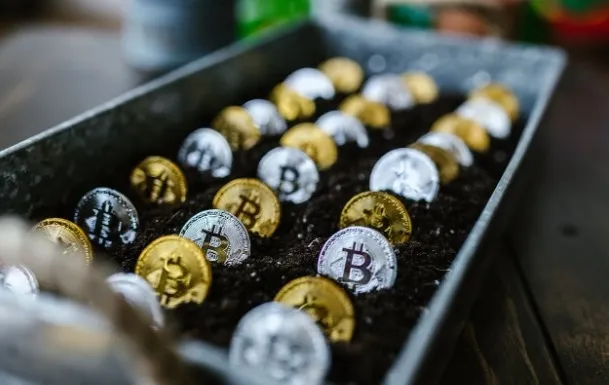 Tokenização acelera no Brasil: CVM projeta mercado acima de US$ 740 milhões com reforma do crowdfunding