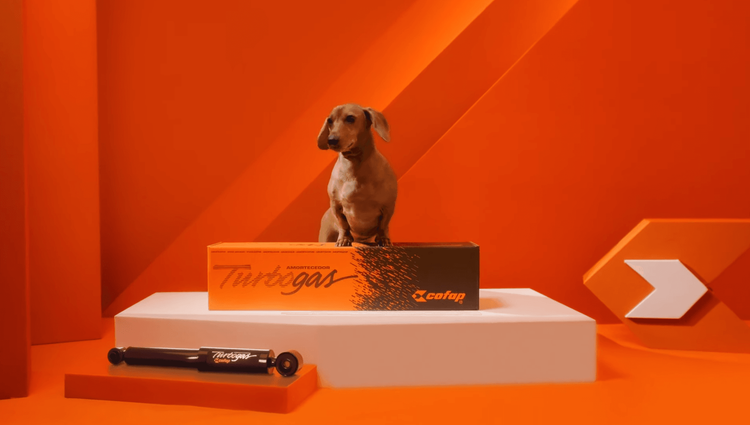Cofap resgata nostalgia e traz o cachorrinho em novo comercial de TV
