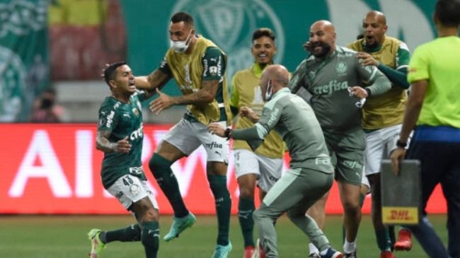sbt-palmeiras-1.jpg