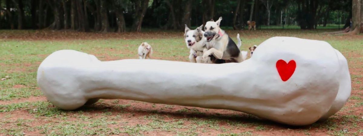 Petlove e Innova AATB promovem Festa no Quintal no aniversário de São Paulo