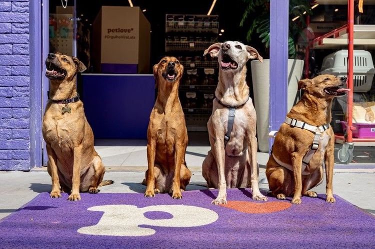 Petlove quer tornar vira-lata caramelo símbolo do Brasil