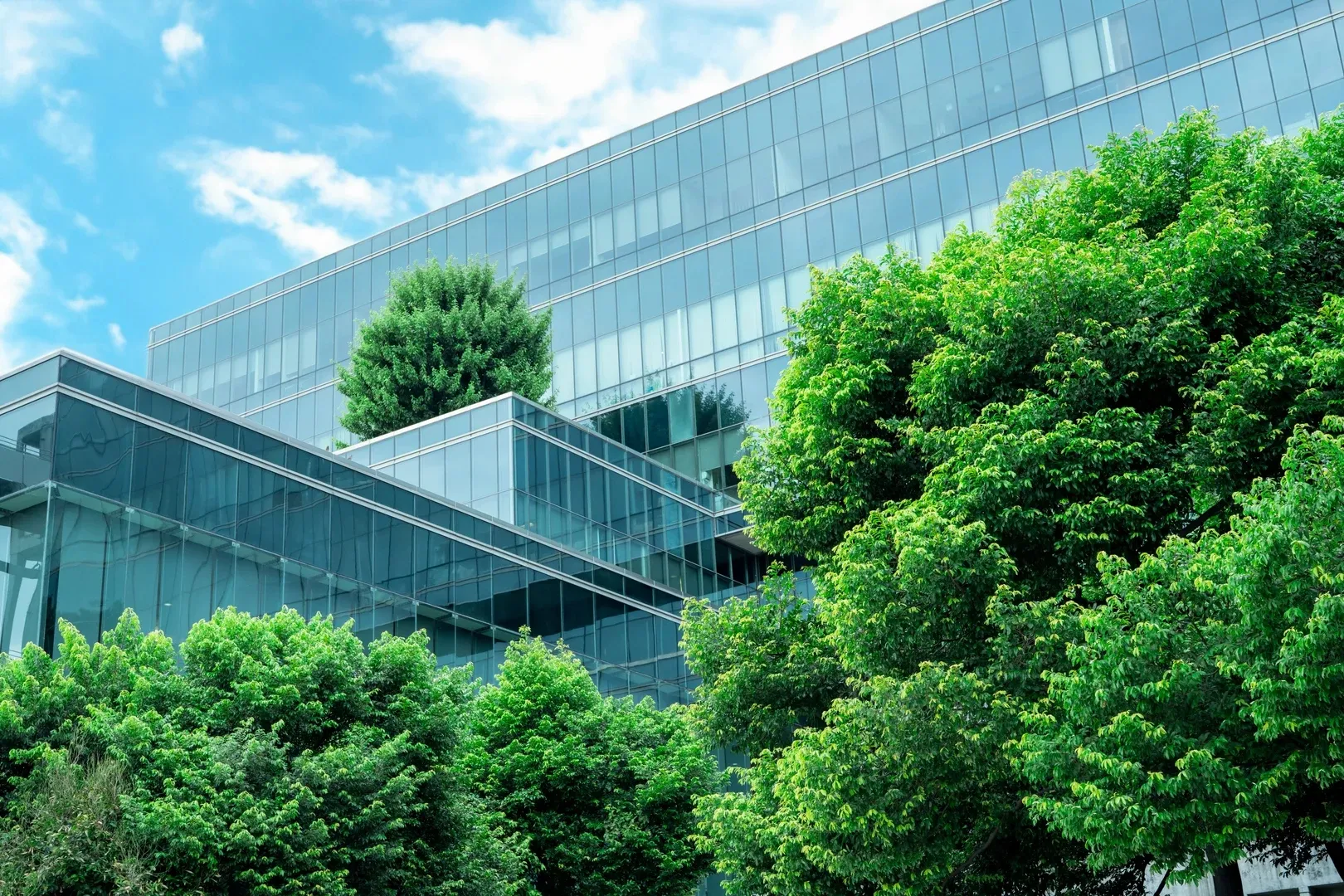 Schneider Electric impulsiona construções net-zero e liderança em sustentabilidade no Brasil