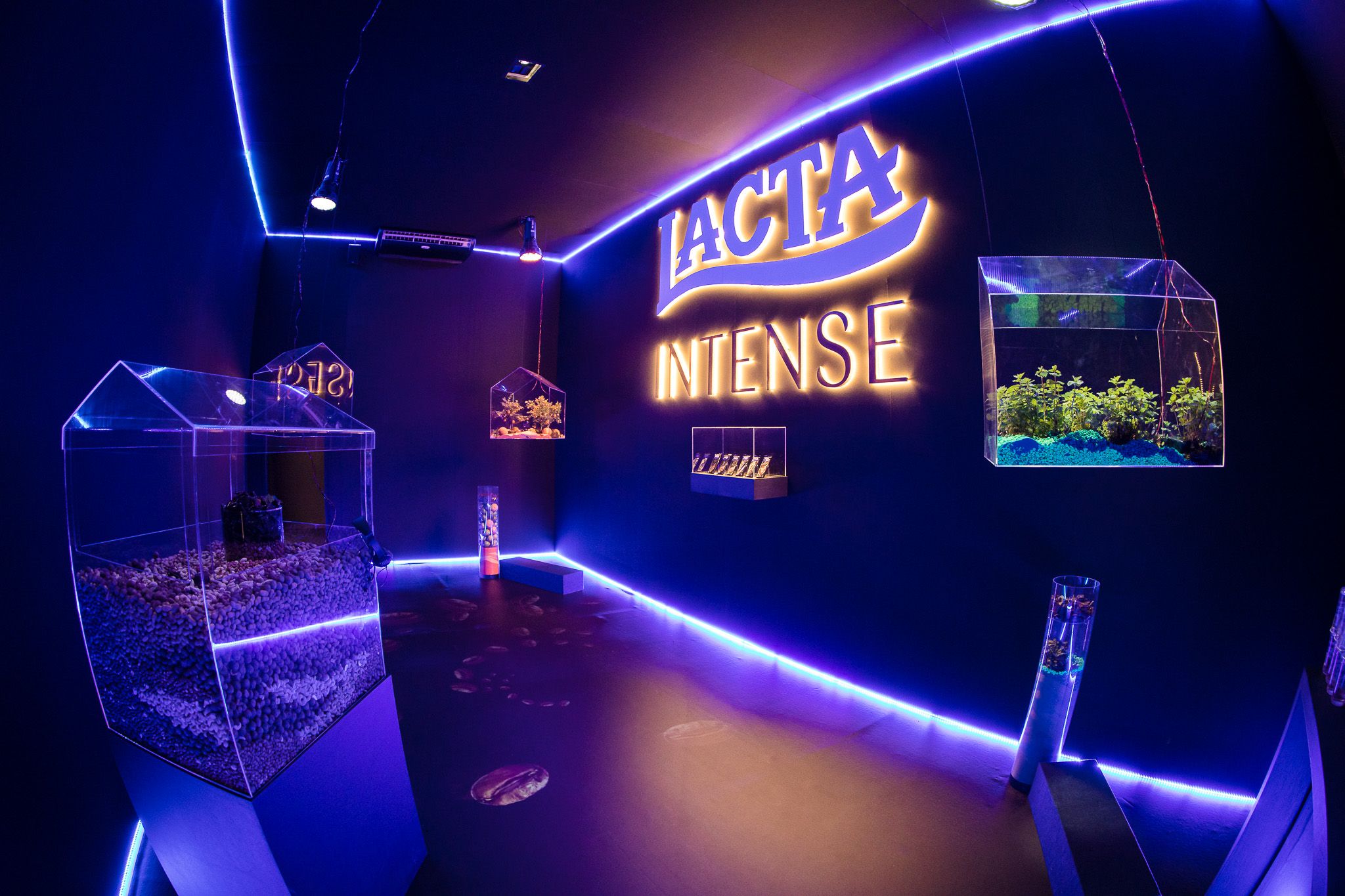 Lacta faz Intense Experience e deixa visitantes com “água na boca”