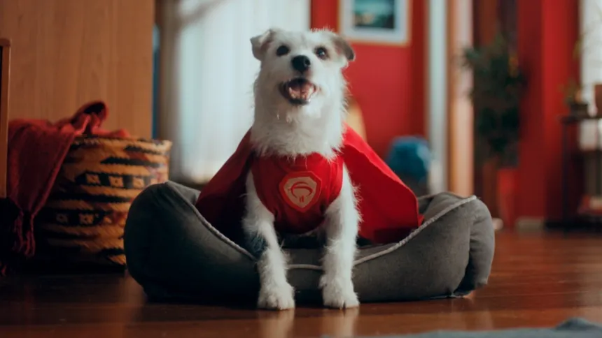 Bradesco lança campanha do “Super Pix” com cão como símbolo de agilidade