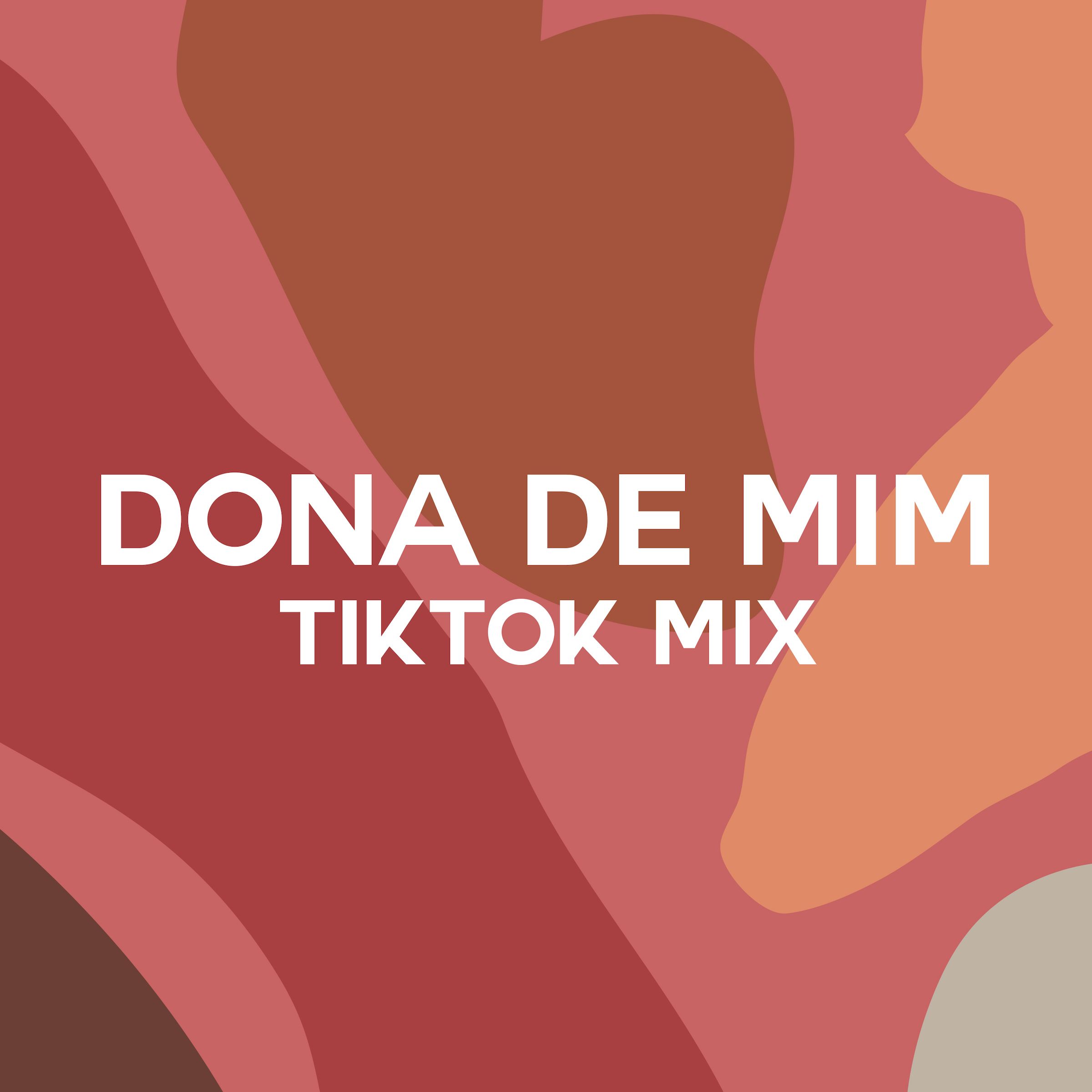 TikTok lança challenge #SouDona em prol do empoderamento