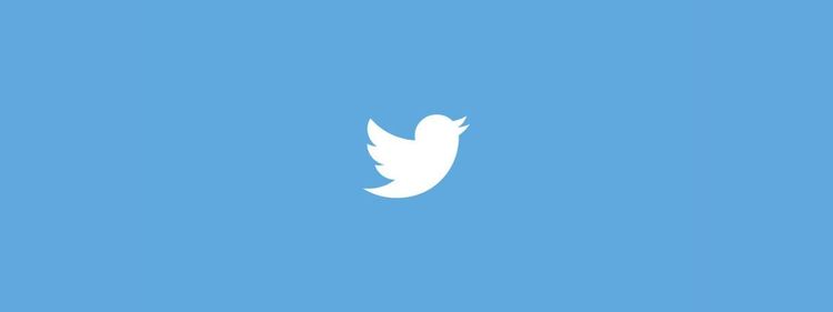 Twitter foi questionado pela SEC sobre bots e números de usuários em junho