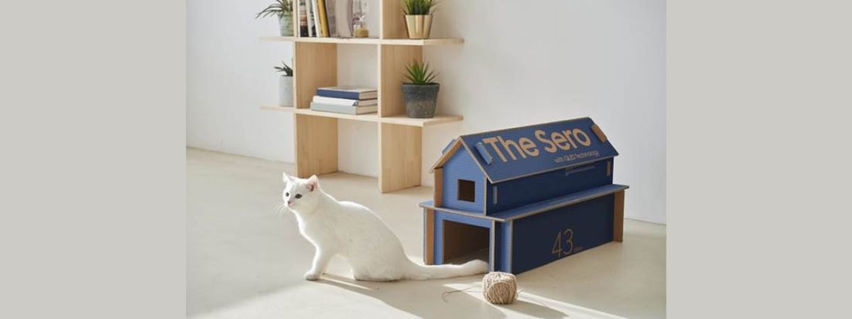 Samsung Eco-Packaging celebra potencial de reutilização de embalagens
