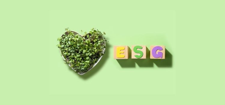 O futuro do ESG nas marcas, segundo o Grupo Heineken
