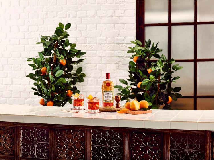 Diageo celebra Dia Mundial do Gin com a experiência de drinks em casa