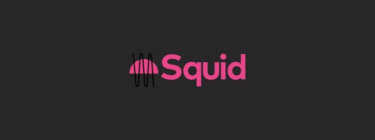 Squid realiza Censo de Criadores de Conteúdo no Brasil