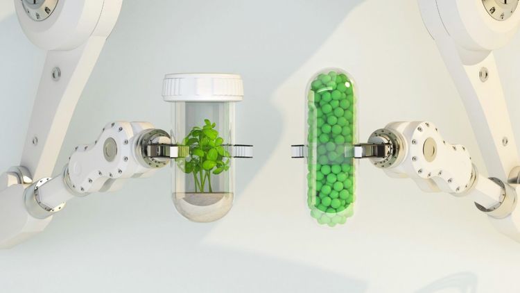 Product Future Food explora o futuro do setor alimentício
