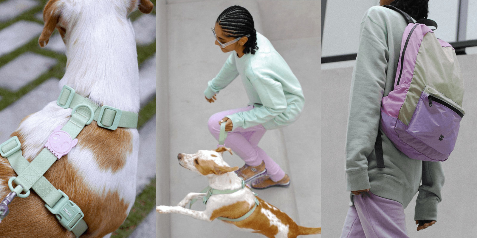 Melissa e Zee.Dog e lançam coleção com peças para cachorros e pessoas