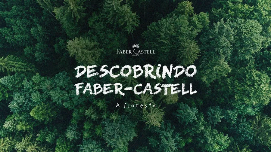 Dia Internacional das Florestas: Faber-Castell celebra marca de 4,5 milhões de árvores cultivadas no Brasil