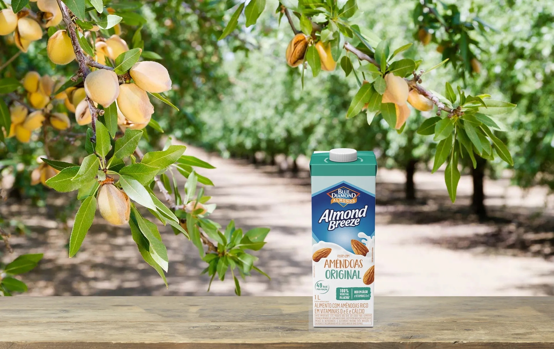 Execution amplia portfólio com Almond Breeze e CETREL