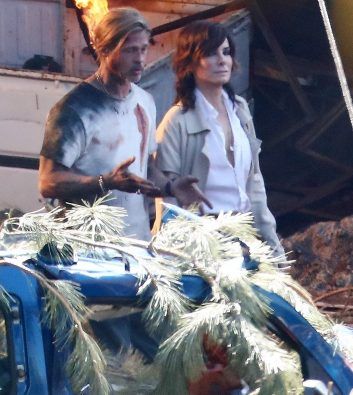 bullet-train-sandra-353x395.jpg