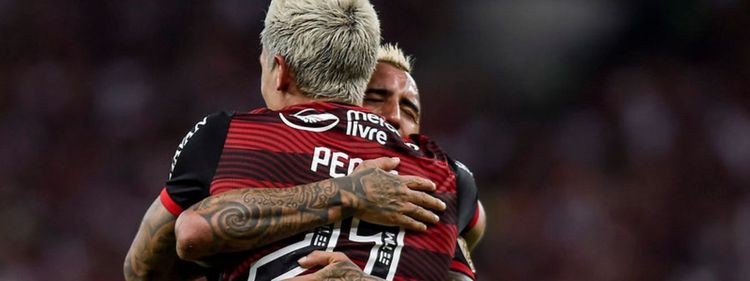 Assist Card é a nova patrocinadora oficial do Flamengo