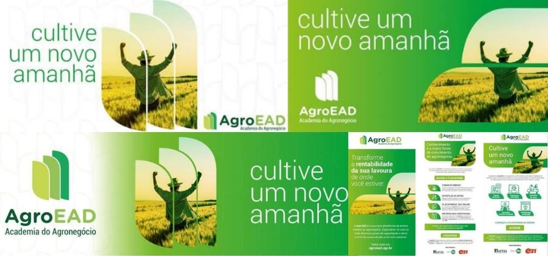 e21 desenvolve campanha digital para lançamento de nova startup de ensino à distância
