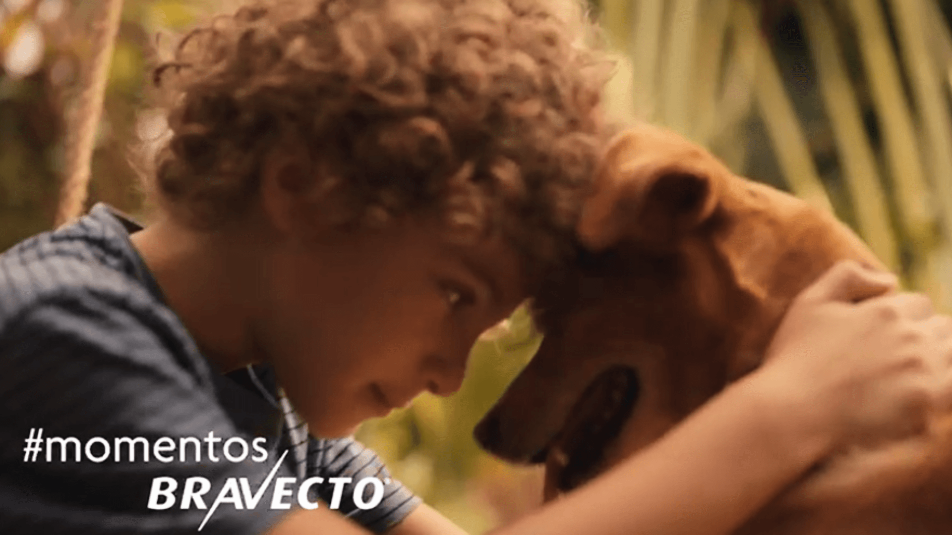 Comercial emocionante de Bravecto conquista troféu no London International Awards