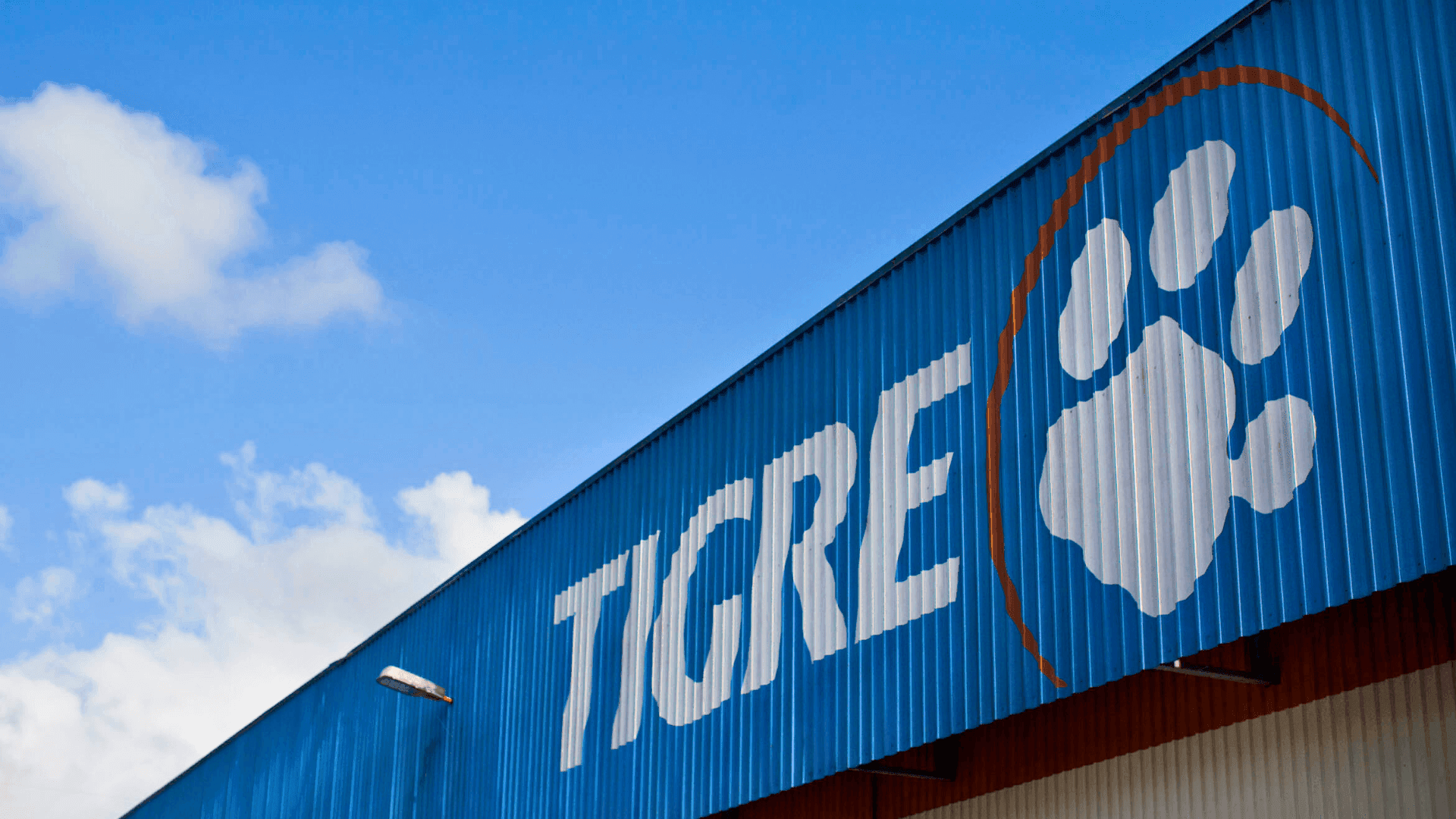 Tigre lança campanha no Instagram para diferenciar marca de famoso jogo de azar
