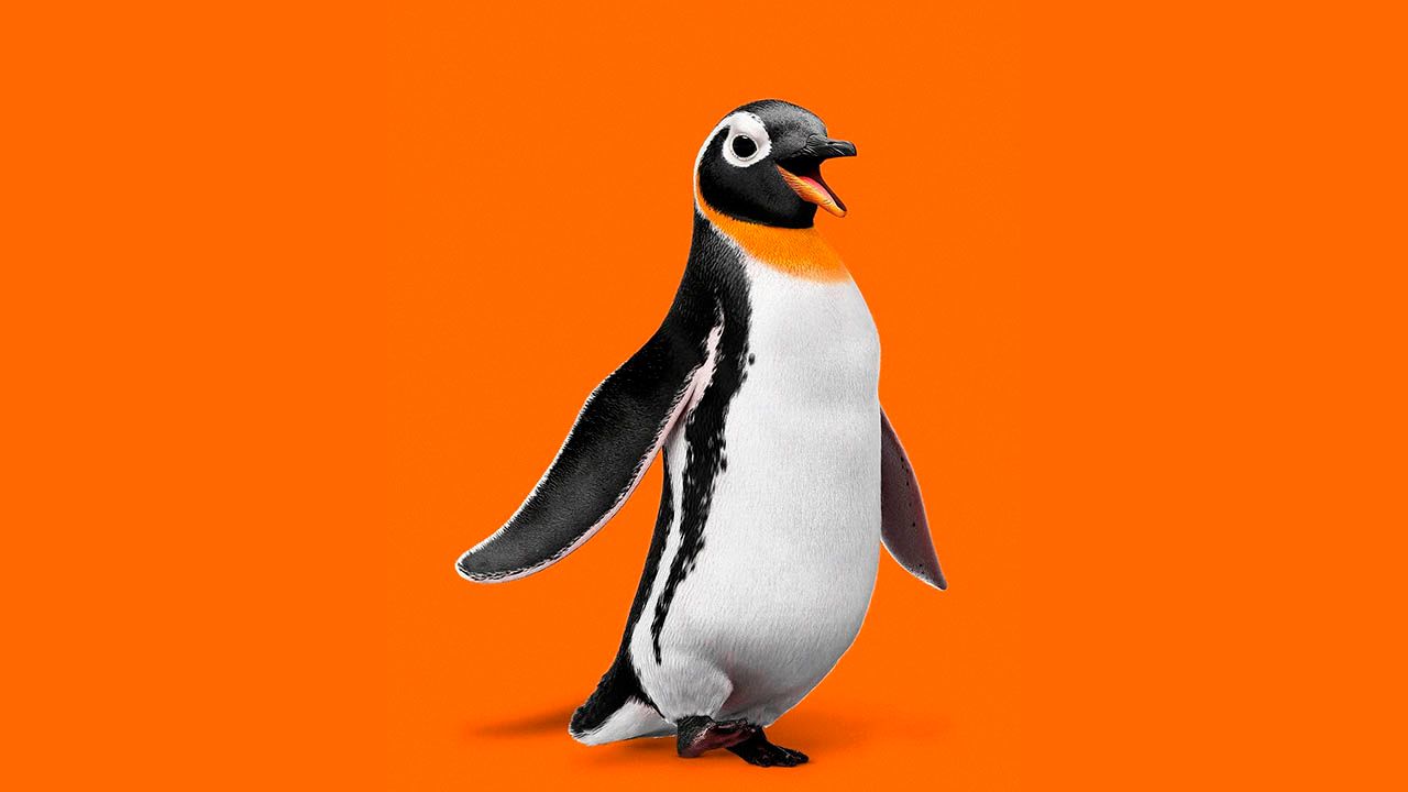 Pontofrio repagina mascote em campanha assinada pela Leo