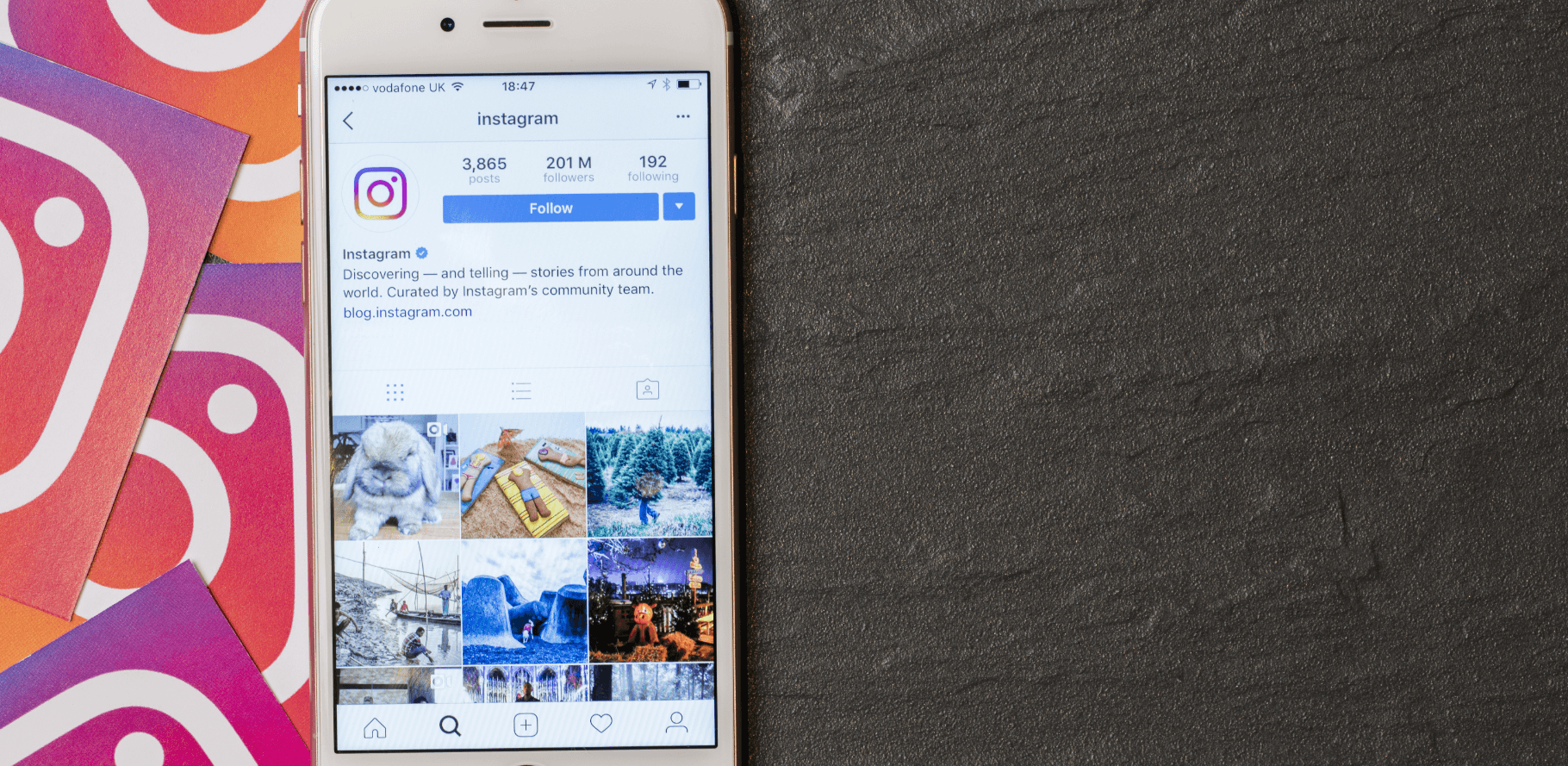 5 tendências do Instagram para a sua marca se destacar em 2020