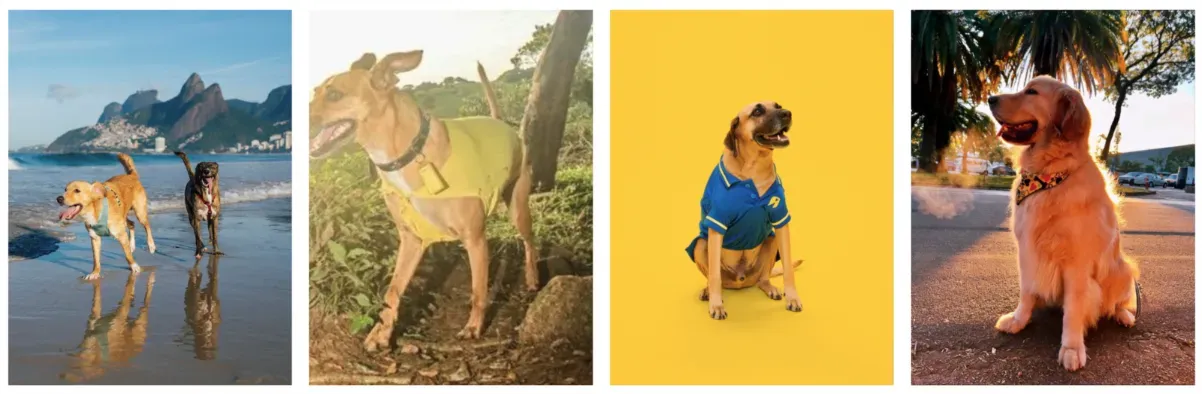 ASICS apresenta embaixadores caninos brasileiros em campanha sobre saúde mental e bem-estar