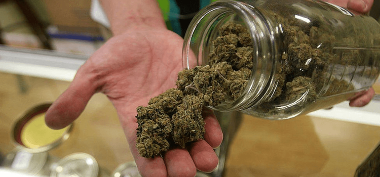 Uber dá seu primeiro passo no mercado de cannabis