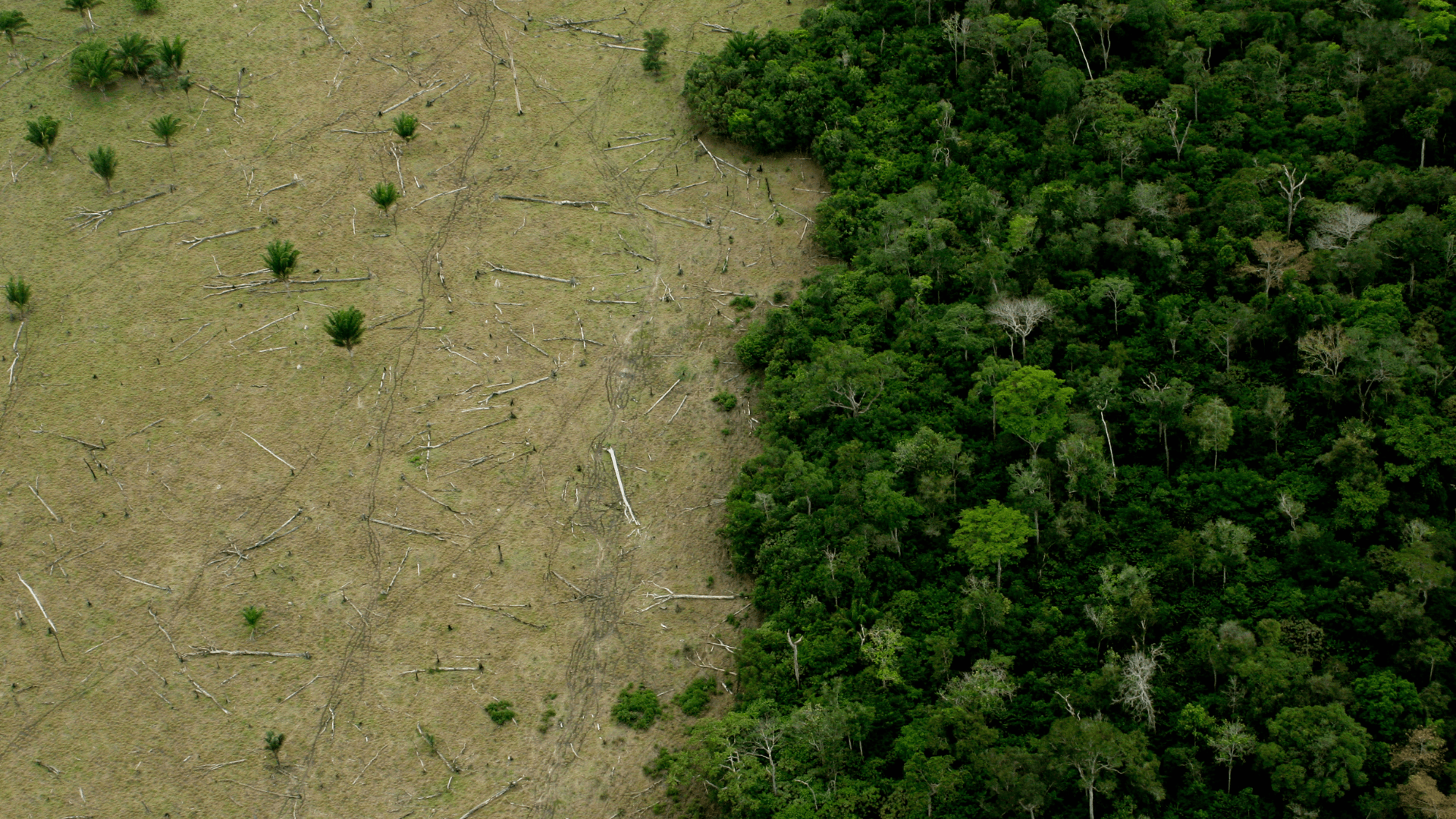 Getty Images revela que 70% das pessoas estão preocupadas com o aquecimento global 