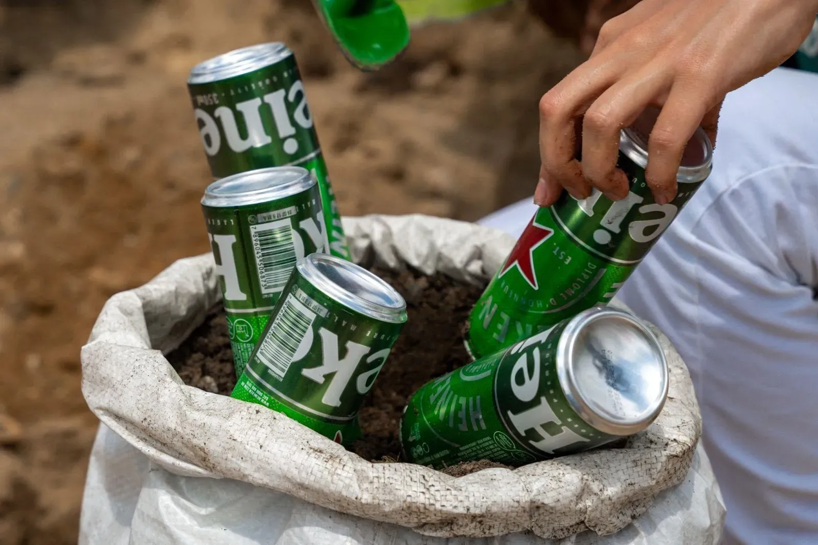 Heineken entrega sua primeira microfloresta no Nordeste com plantio em Recife