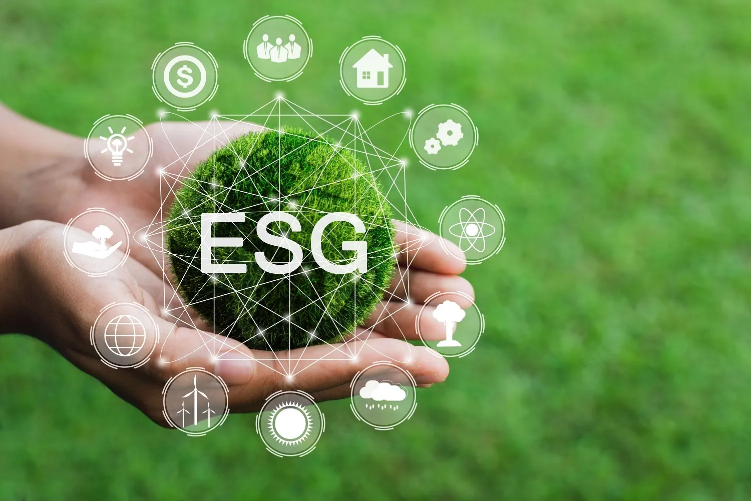Blood acelera agenda ESG e projeta operações 100% sustentáveis
