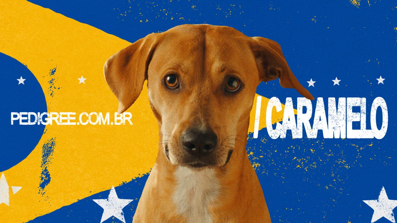 Brasil é finalista em Titanium com campanha sobre o vira-lata caramelo