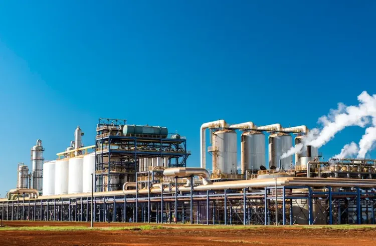 Atvos e NetZero lançam projeto de biochar em Goiás