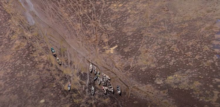 Greenpeace mostra Brasil desfigurado pela crise climática