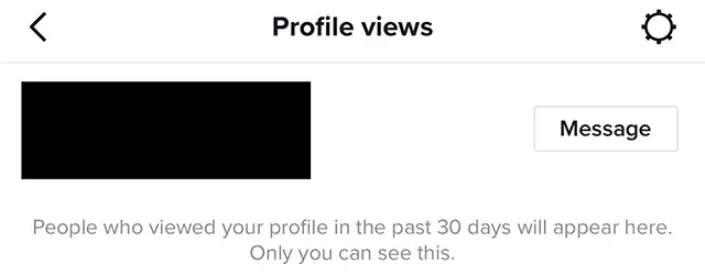 TikTok4.webp