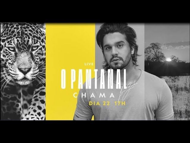 National Geographic e Luan Santana se unem para proteger o Pantanal