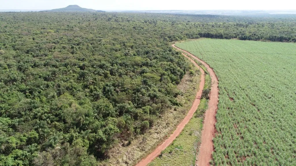 Governo de SP e ITESP anunciam projeto de restauração ecológica no Pontal do Paranapanema