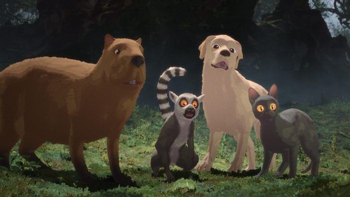 flow-animais-702x395.jpeg