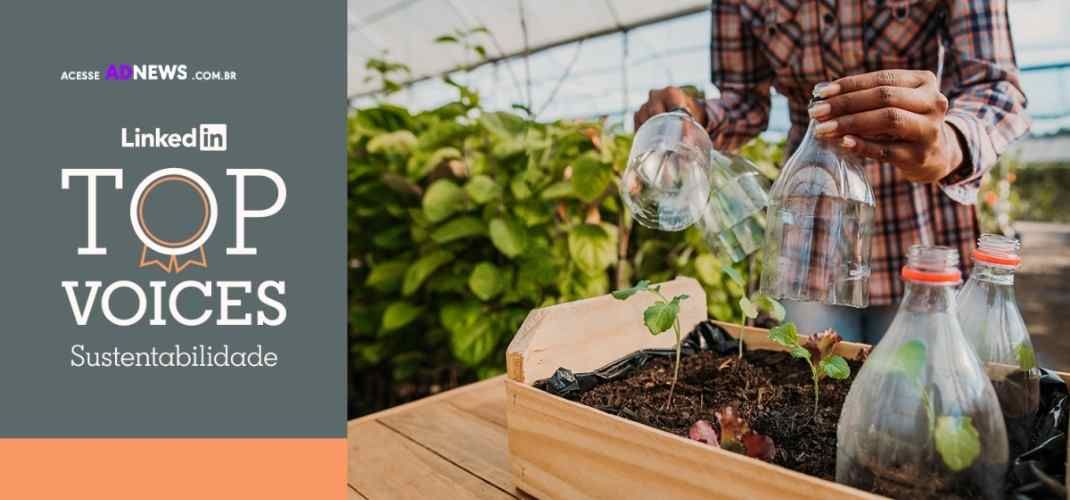 LinkedIn lança edição de Top Voices com foco em Sustentabilidade