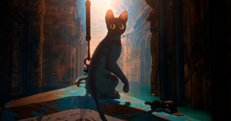 flow-gato-750x395.jpg