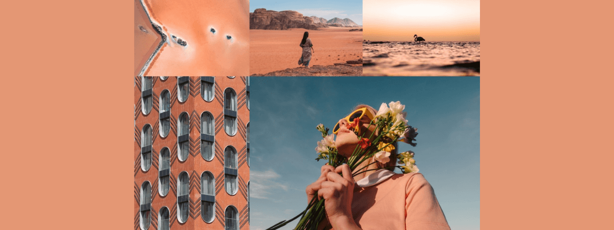 Conheça as tendências de cores para 2022 da Shutterstock