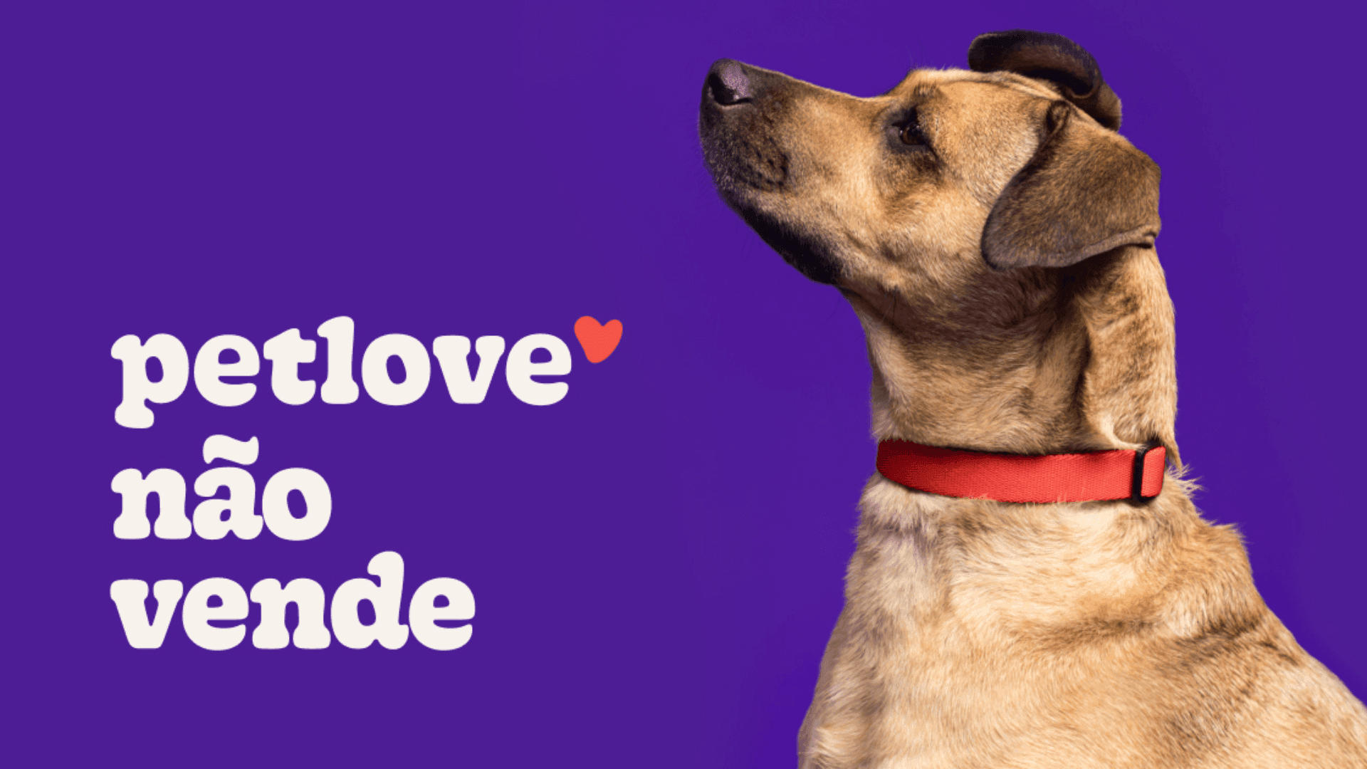 Petlove inicia movimento contra produtos prejudiciais aos pets